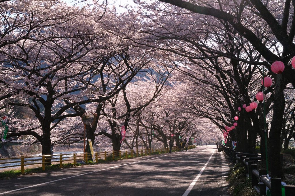 櫻井翔さんが来ていたSLの町。静岡県島田市。蓬莱橋にも！