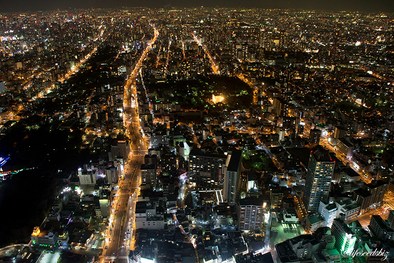 あべのハルカスからの夜景 - 北側