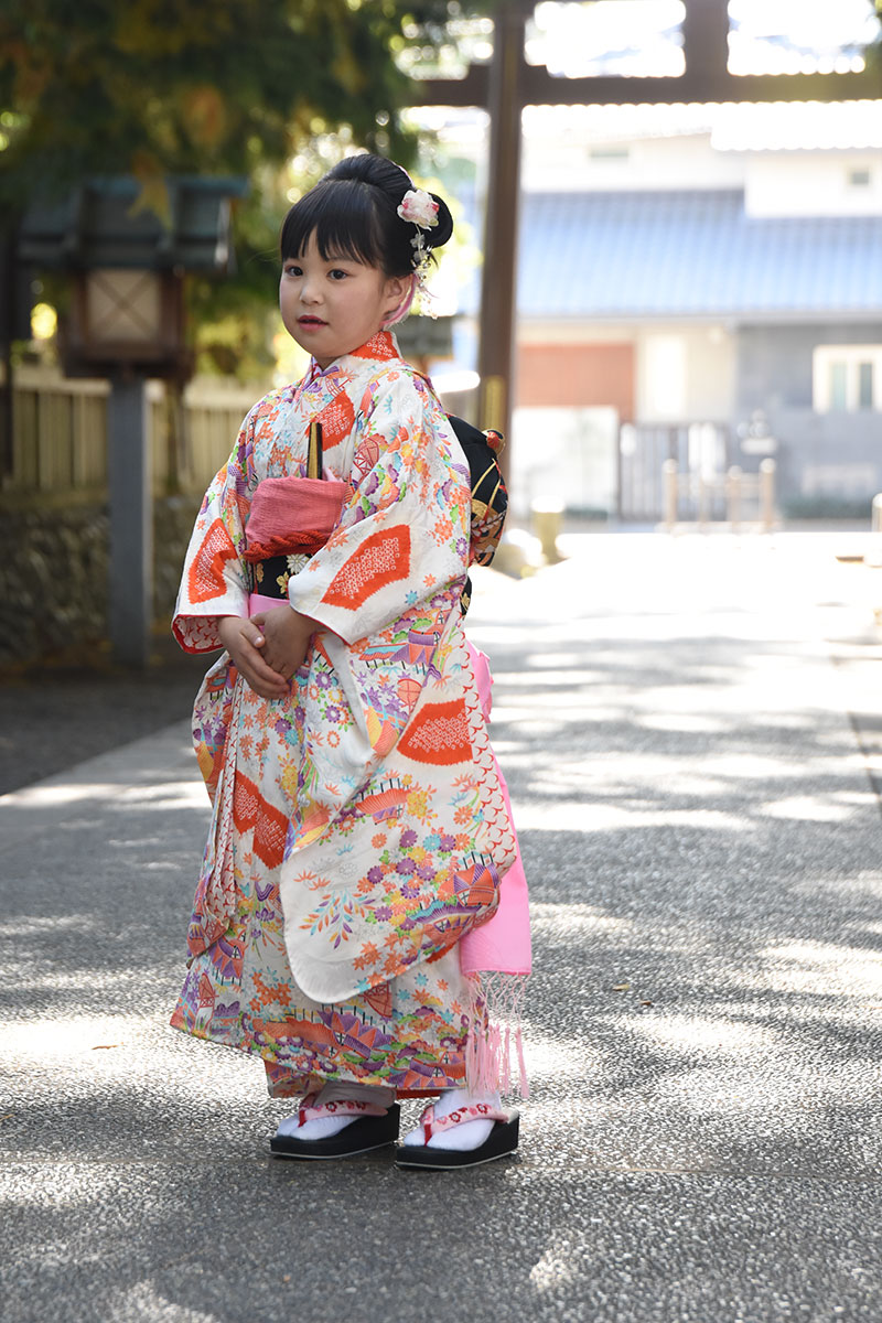 色鮮やかな着物を着た七五三の女の子